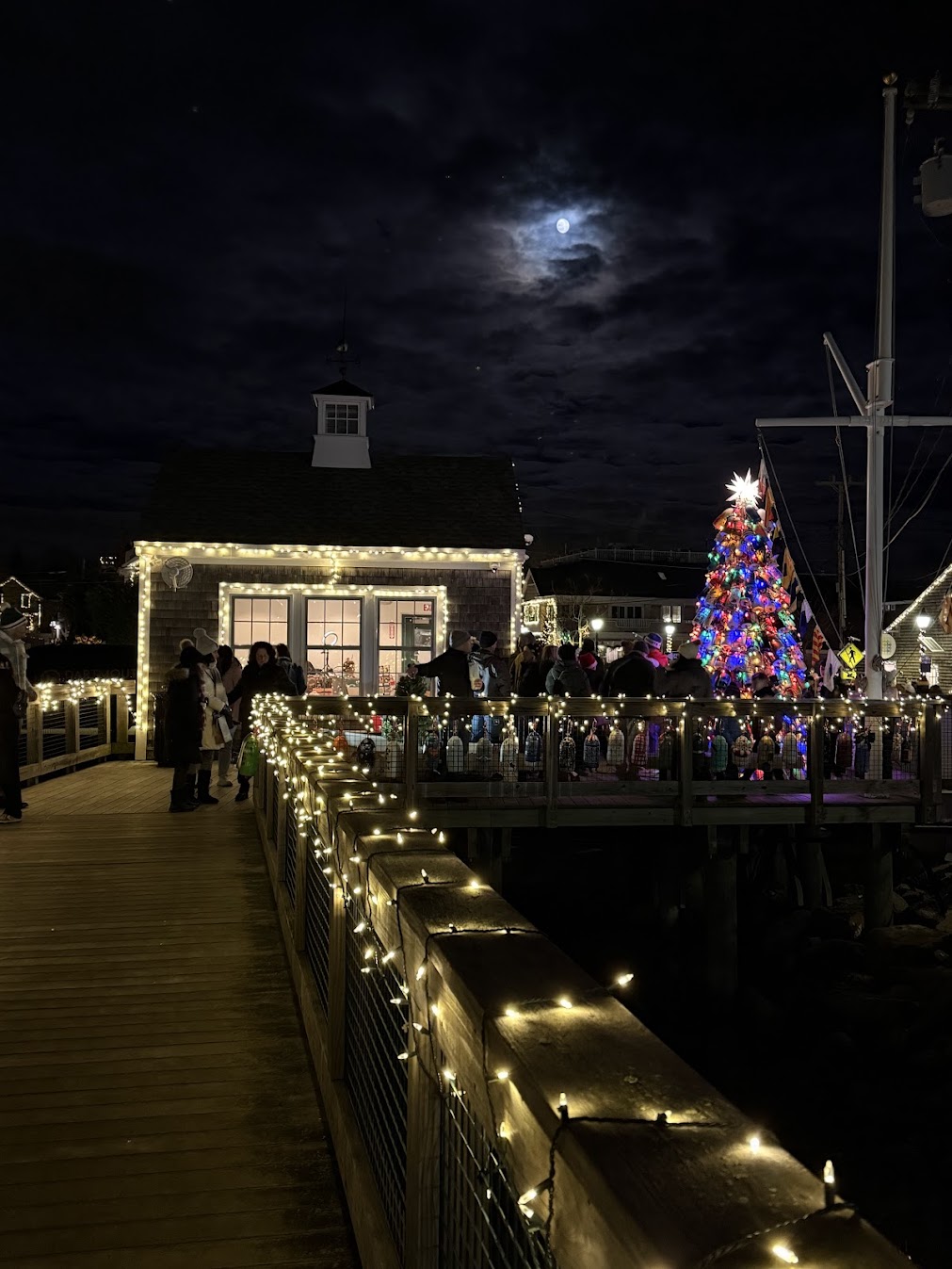 Padanaram's Buoy Tree draws crowds for annual lighting